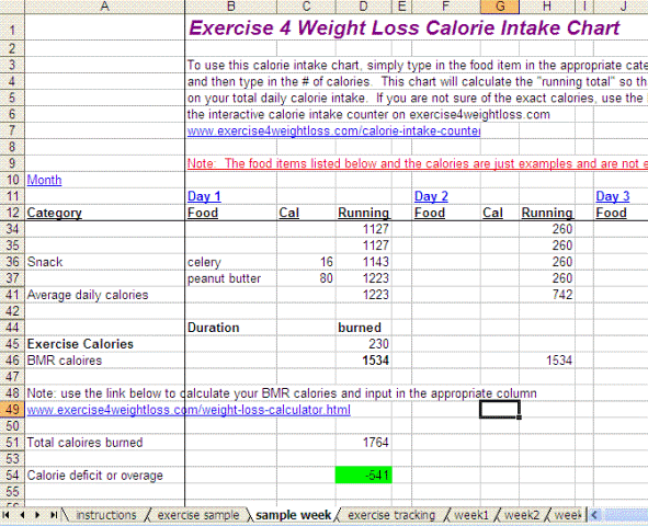 calorie intake sheet - Togo.wpart.co