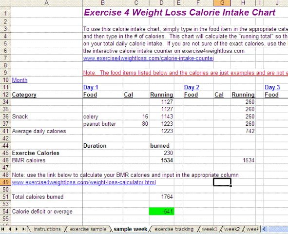 E Weight Loss Calculator