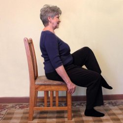 seated-knee-raise