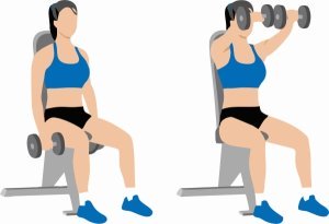 seated-front-shoulder-raise