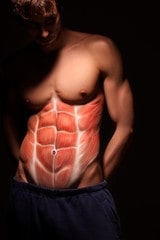 abdominal-crunch-muscles