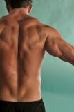 back muscles