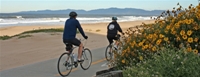 people riding bikes along the beach