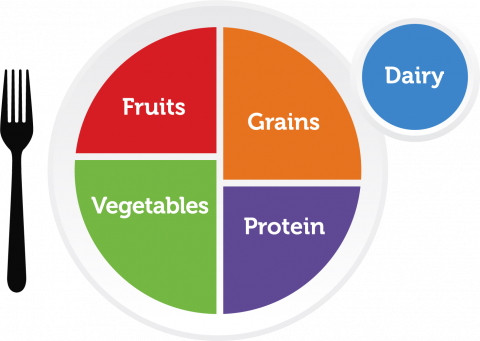 portion sizes