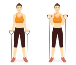 resitance band bicep curl