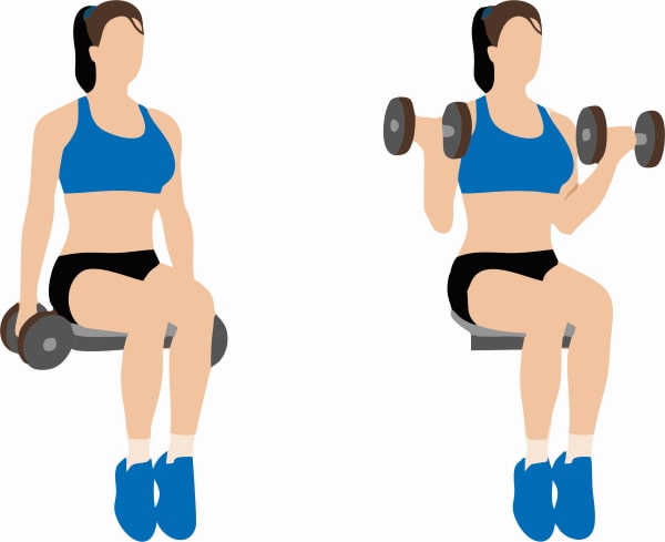 seated-bicep-curl