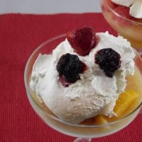 frozen applesauce dessert