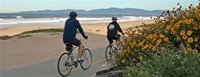 people riding bikes along the beach