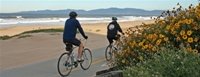 people riding bikes along the beach