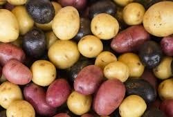 potatoes